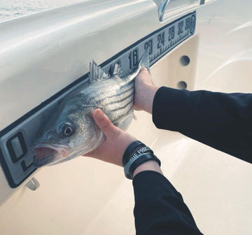 Shop Marine Mat Kits